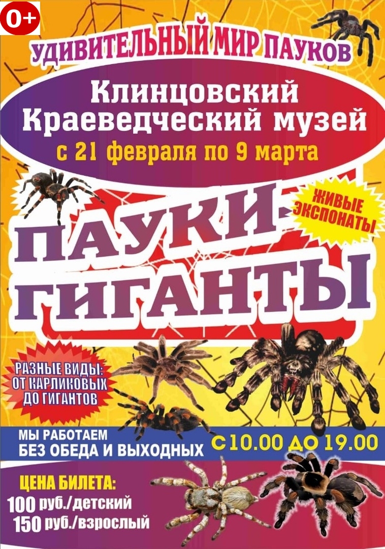 Выставка пауков в Клинцах