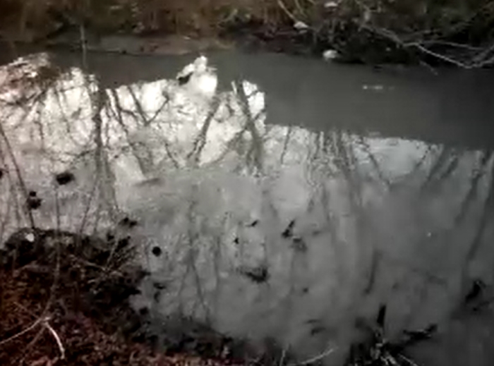В Клинцах продолжают сливать зловонные нечистоты в реку Московку 