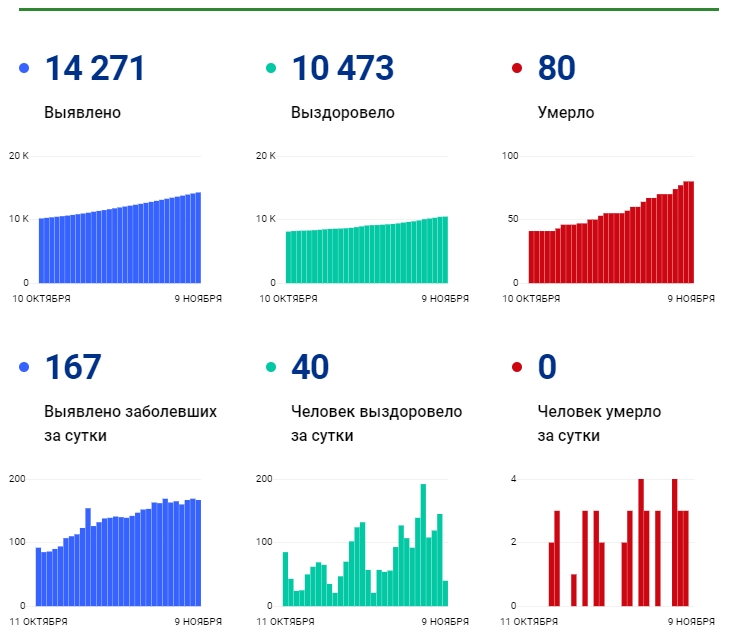9 ноября: в Брянской области обновлены данные по коронавирусу
