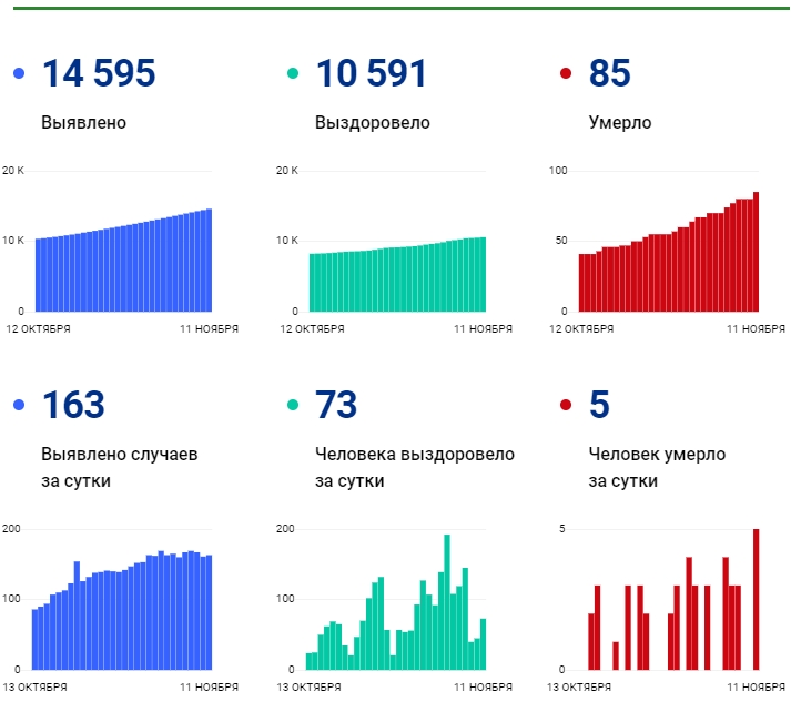 11 ноября: в Брянской области обновлены данные по коронавирусу