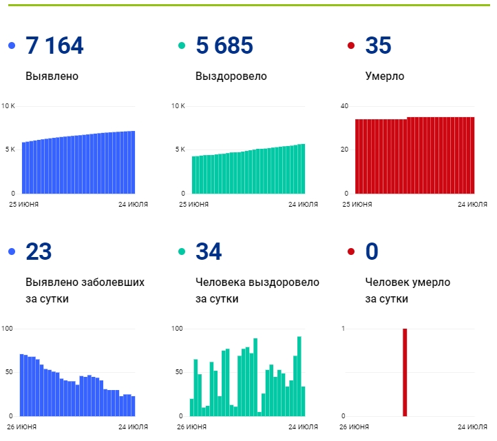 24 июля: в Брянской области обновлены данные по коронавирусу