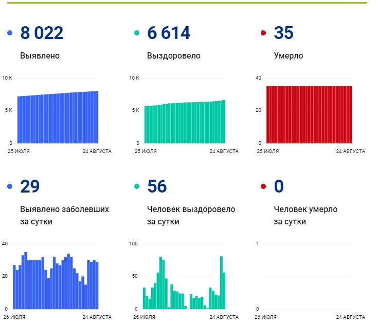 24 августа: в Брянской области обновлены данные по коронавирусу