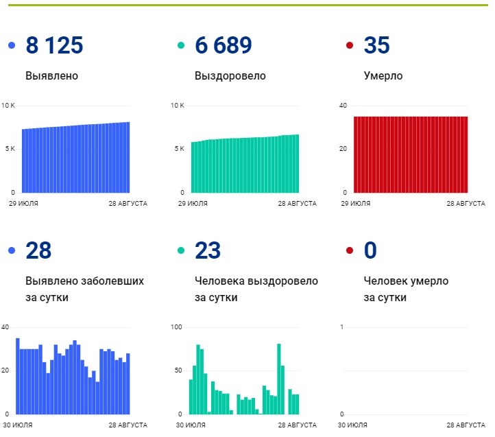 28 августа: в Брянской области обновлены данные по коронавирусу
