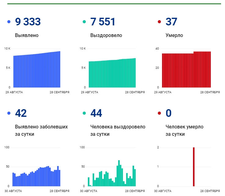 28 сентября: в Брянской области обновлены данные по коронавирусу