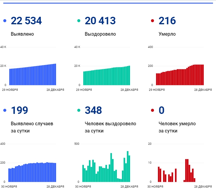28 декабря: в Брянской области обновлены данные по коронавирусу