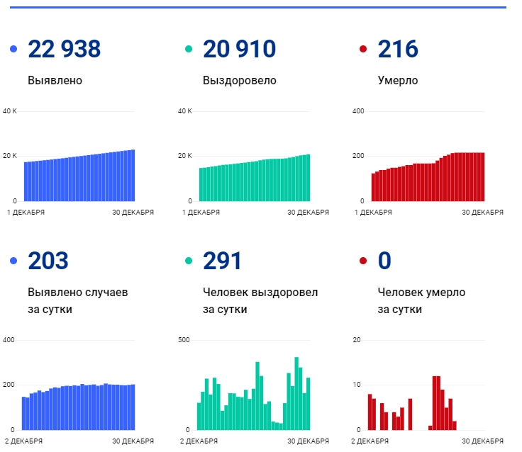 30 декабря: в Брянской области обновлены данные по коронавирусу