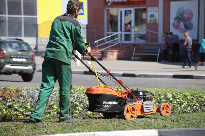 Работы по озеленению территорий города Клинцы продолжаются