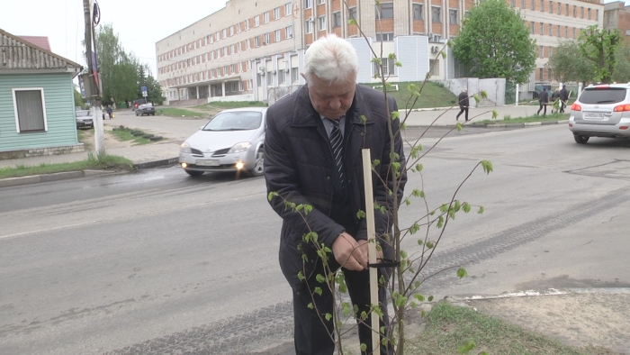 В Клинцах в рамках проекта «Чистая страна» высадили 100 молодых деревьев
