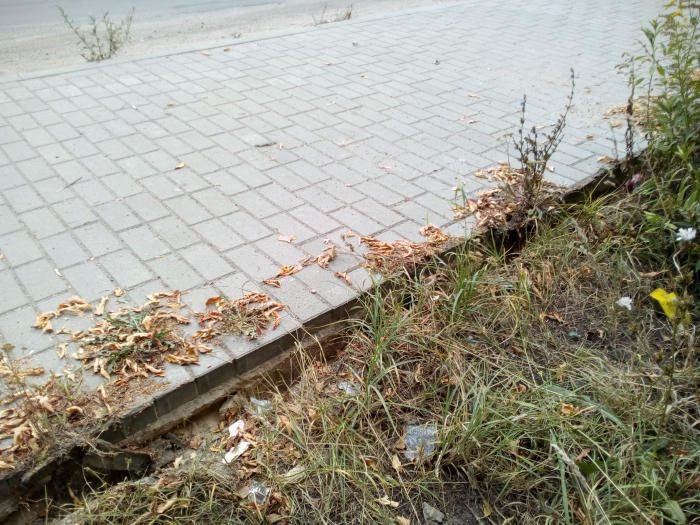 В Клинцах злоумышленники вырвали и похитили блоки тротуарного бордюра