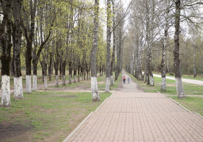 В Клинцах благоустроят аллеи, ведущие к стадиону «Труд» и территорию около нового собора