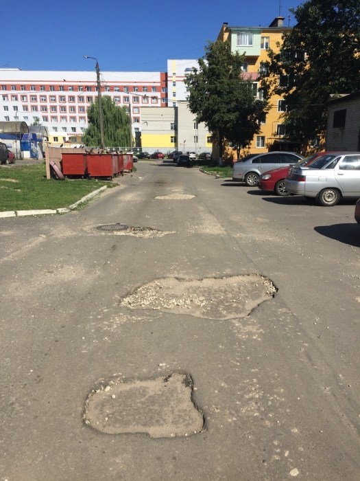 Собственное мнение: «Благоустройство города Клинцы начинать каждый должен с себя»