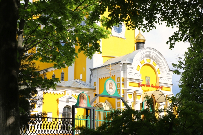 В Клинцах распустились каштаны