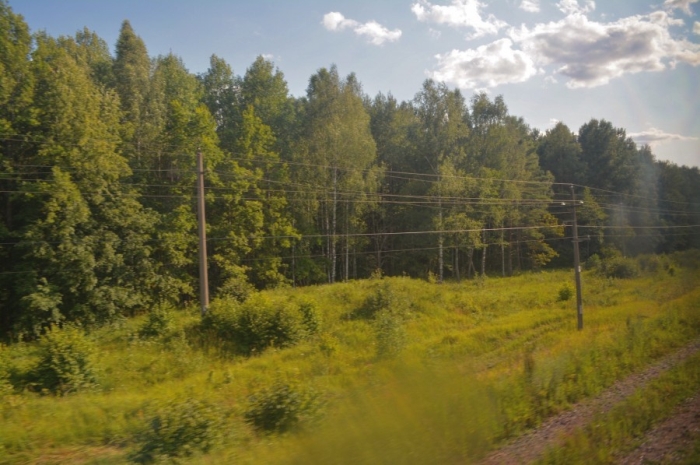 Брянская область из окна поезда: перегон Почеп-Клинцы