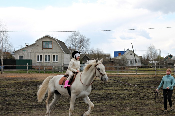 В городе Клинцы открылся первый конный клуб
