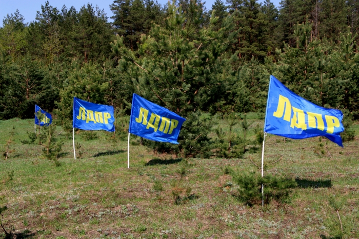 Активисты ЛДПР в день весны и труда высадили несколько сотен саженцев в Клинцовском районе,