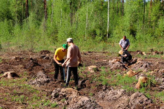 Памятная посадка леса состоялась в Клинцовском районе