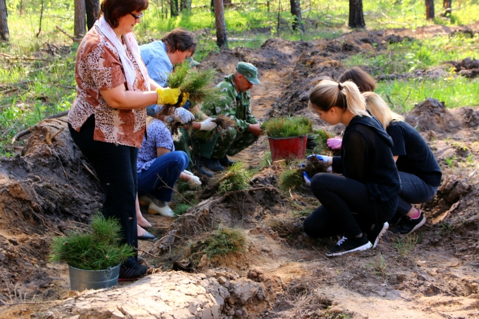 Памятная посадка леса состоялась в Клинцовском районе