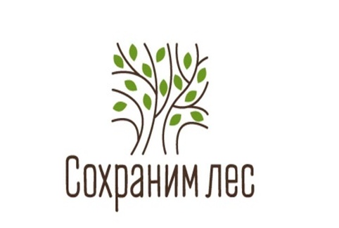 В Клинцовском районе реализуется региональный проект «Сохранение лесов» 