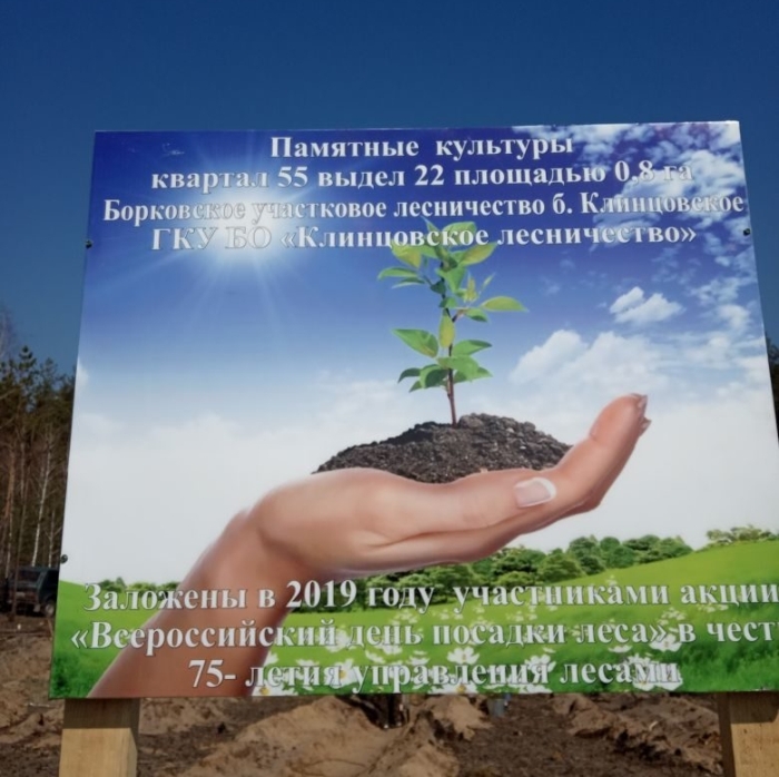 В Клинцах проходит акция «Всероссийский день посадки леса»