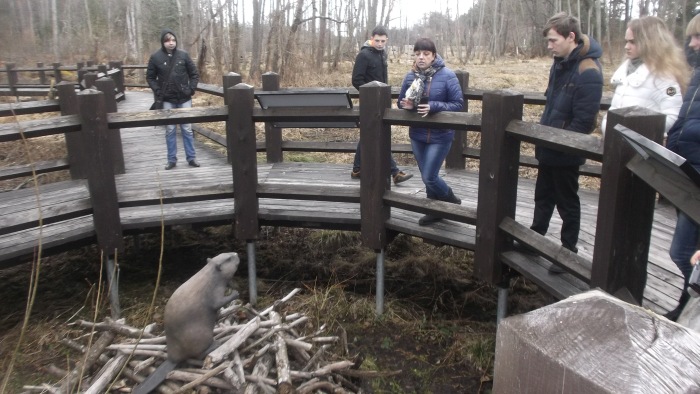Клинчане посетили заповедник «Брянский лес»