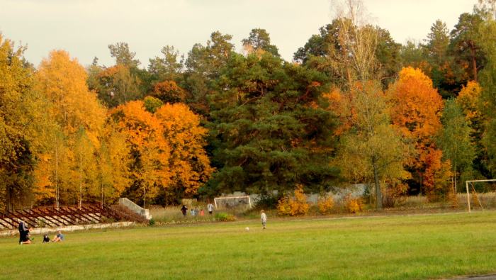 Осень шагает по Клинцам. Осенние фотозарисовки.