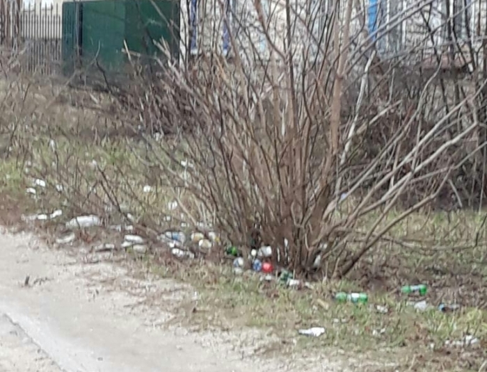 Клинчане жалуются на очередную свалку в центре города