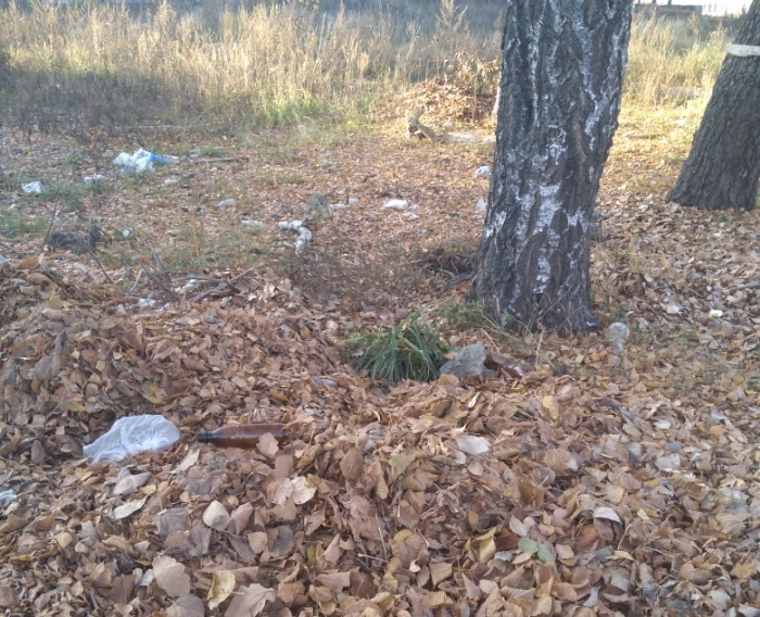 В Клинцах опавшую листву выбрасывают на пустырь