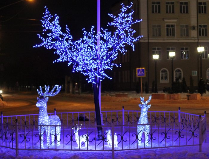 В городе Клинцы неустановленные лица похитили любимца горожан – новогоднего олененка