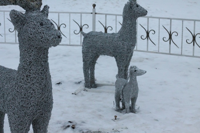 В городе Клинцы неустановленные лица похитили любимца горожан – новогоднего олененка