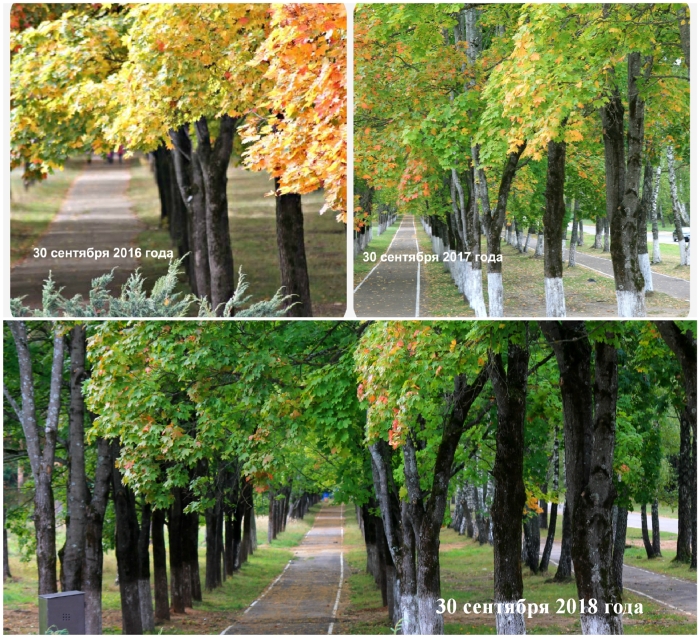 Осень шагает по Клинцам (2019). Осенние фотозарисовки