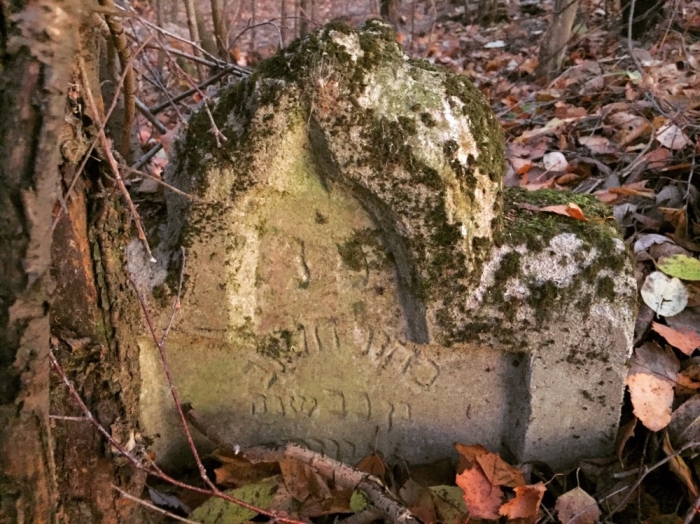 Еврейское кладбище в городе Почеп Брянской области