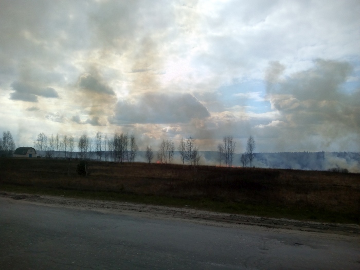 Огонь от горящей сухой травы в Клинцовском районе подошел вплотную к дачным домам