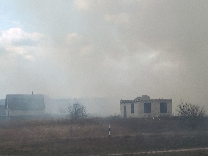 Огонь от горящей сухой травы в Клинцовском районе подошел вплотную к дачным домам