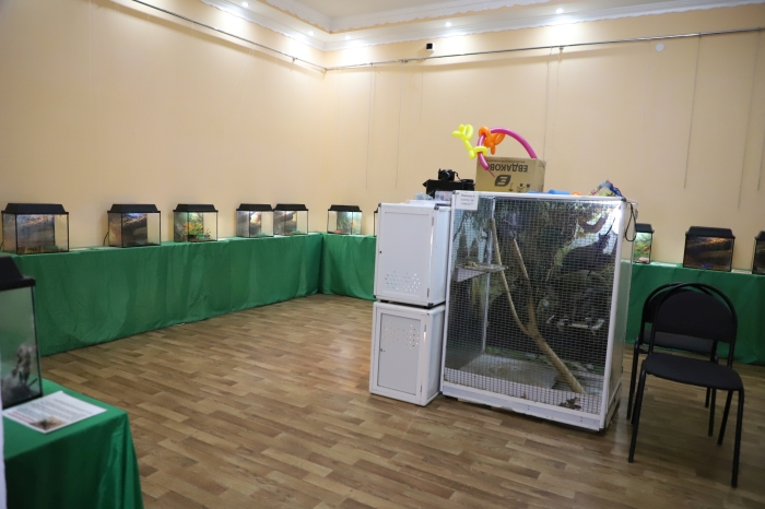  В Клинцах проходит выставка «Удивительный мир пауков»