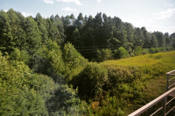 Брянская область из окна поезда: перегон Брянск-Почеп