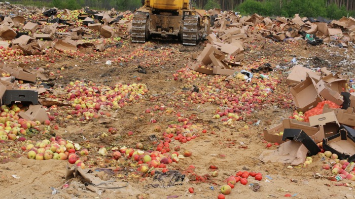 Россельхознадзор запретил ввоз турецких яблок в Россию через Беларусь
