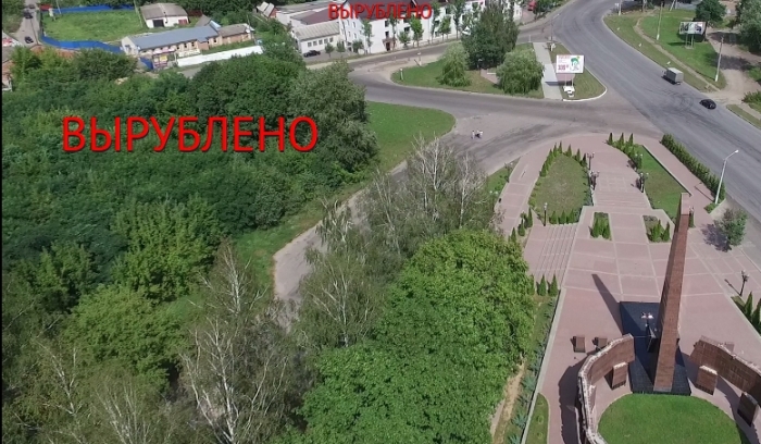 В Клинцах вырубили деревья около памятника «Героям Отечества»
