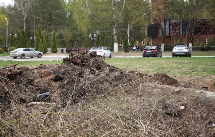 В Клинцах вырубили деревья около памятника «Героям Отечества»