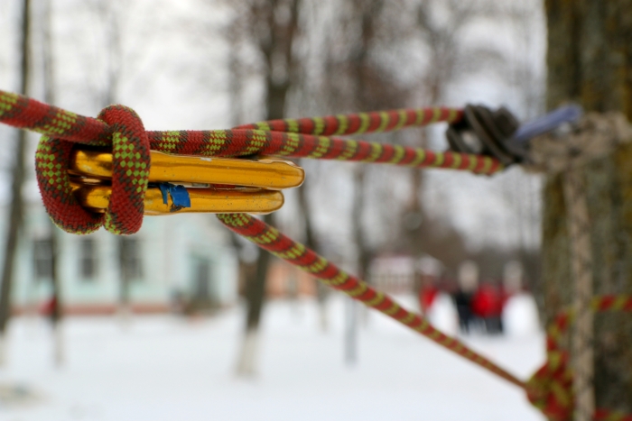 В Клинцах состоялись спортивные соревнования «Весёлый муравейник»
