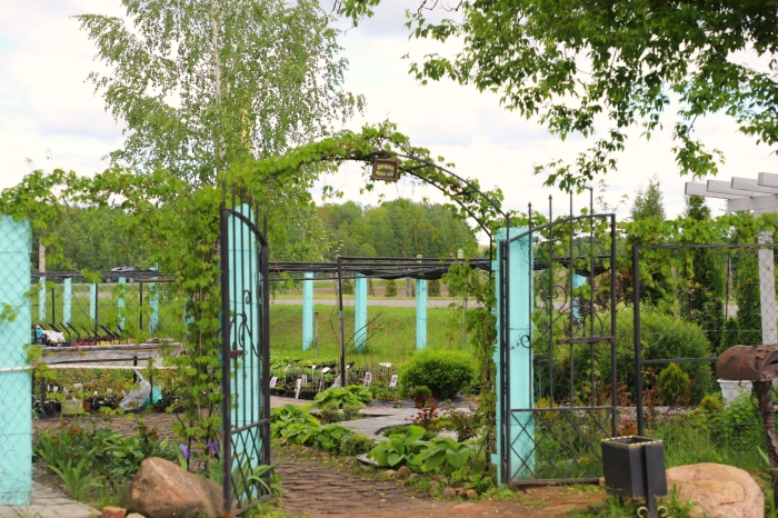 Садовый Центр «Зеленый сад»