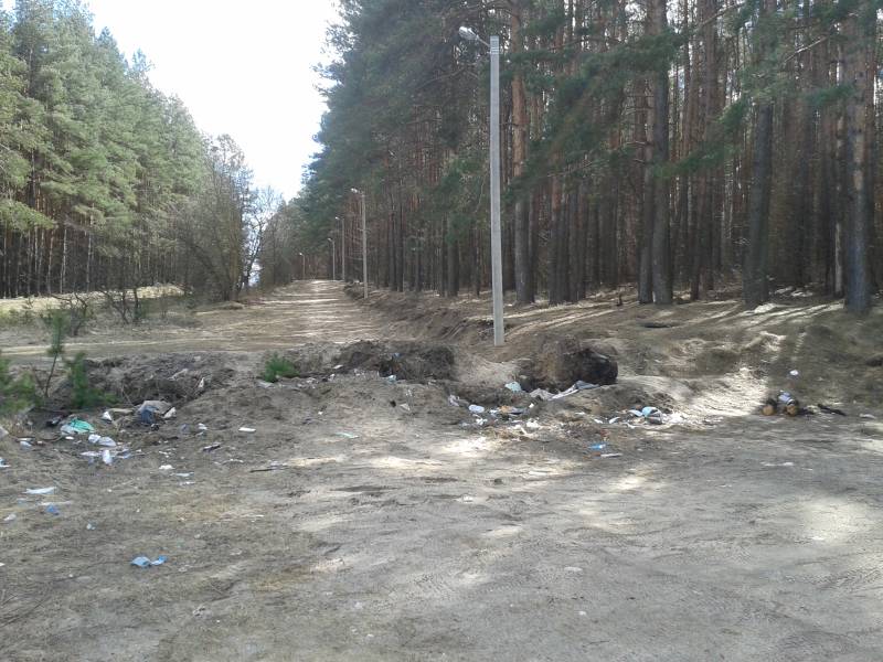 Фотофакт: Парковая зона на Солодовке требует ухода