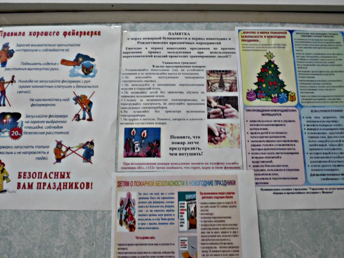 В День спасателя РФ закончилась акция «Безопасный новый год» с участием ДЮП Клинцовского района