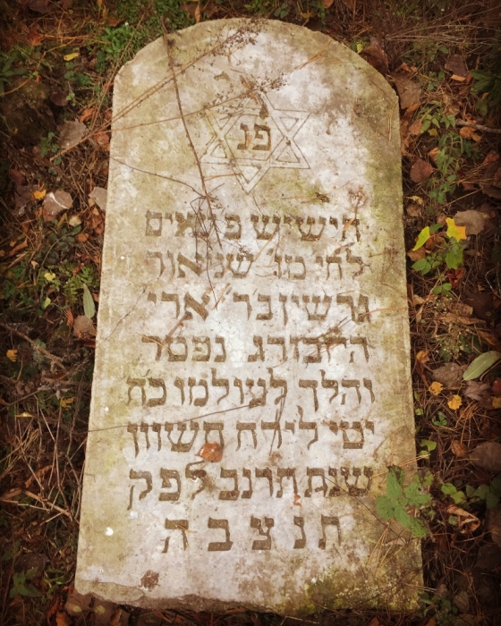 Еврейское кладбище в городе Стародуб Брянской области