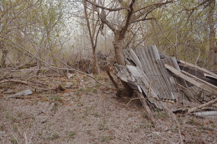 Святск, Брянская область: зона отчуждения Чернобыля