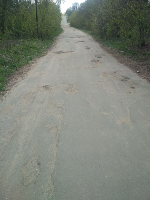 Жители Клинцовского района просят местные власти отремонтировать дороги и освещение