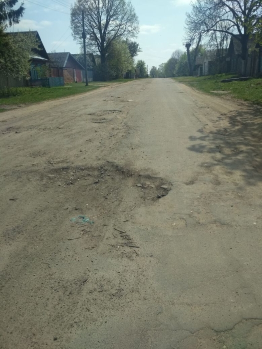 Жители Клинцовского района просят местные власти отремонтировать дороги и освещение