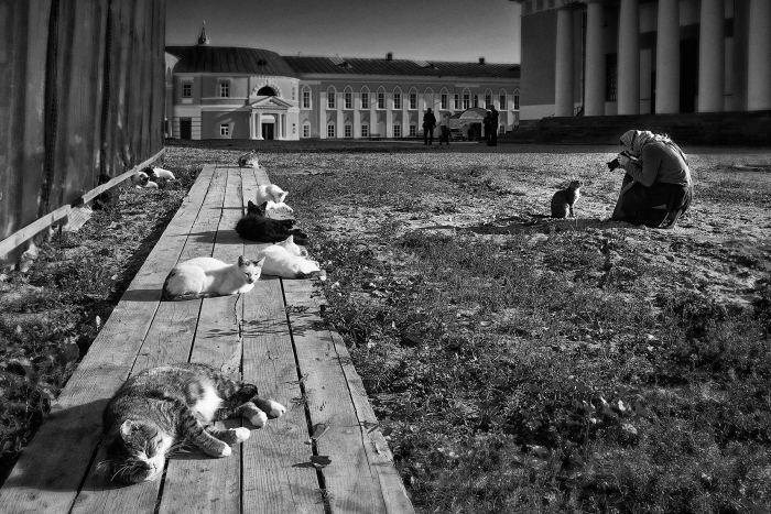 Брянские фотографы стали финалистами российского клубного фотоконкурса «Берега-2019»