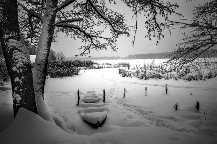 Брянские фотографы стали финалистами российского клубного фотоконкурса «Берега-2019»
