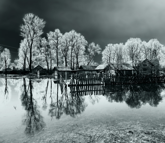 Брянские фотографы стали финалистами российского клубного фотоконкурса «Берега-2019»