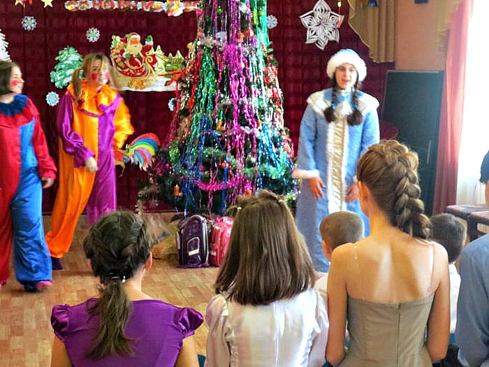 Волонтеры провели новогоднее костюмированное представление в приюте 